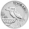 Silver Kookabuua